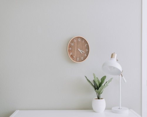 Minimalist desk setup with a small plant