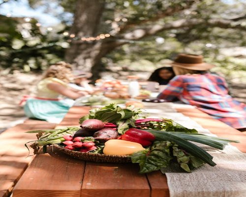 A casual outdoor gathering with fresh food on a wooden table